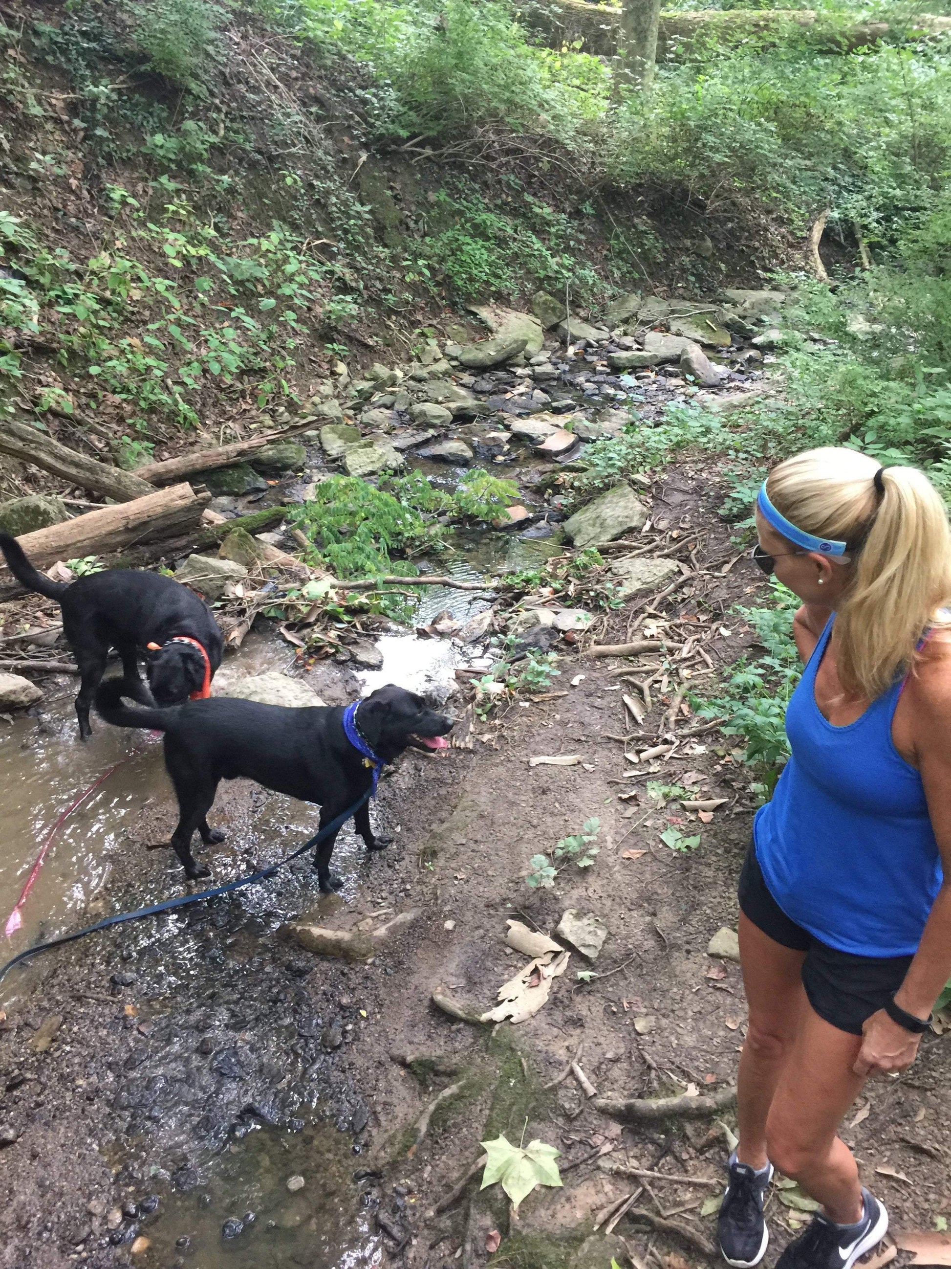 *Petite | Watercolors | 1 Inch Sweaty Bands Non Slip Headband