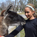 Animal | No Llama Drama | Blue | 1 Inch Sweaty Bands Non Slip Headband